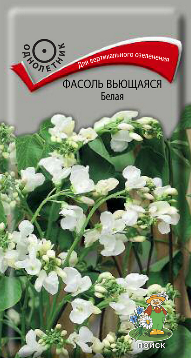 Фасоль Вьющаяся белая 5 шт.