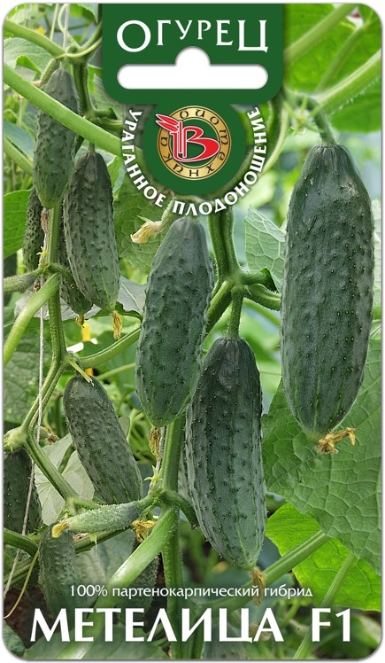 Огурец Метелица F1, 8 шт. Биотехника
