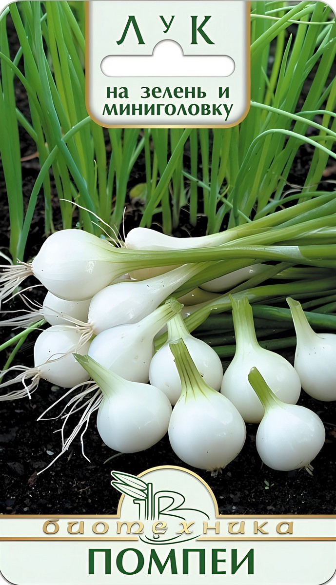 Лук на зелень и мини-головку Помпеи, 0,5 г Биотехника