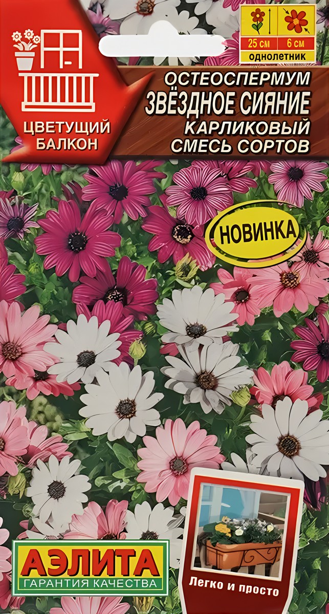 Остеоспермум Звездное сияние карликовый, смесь сортов, 10 шт.