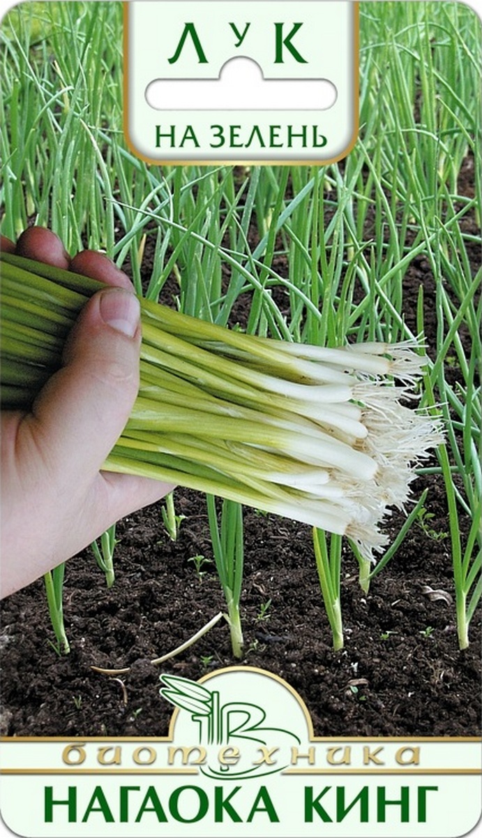 Лук на зелень Нагаока Кинг, 0,5 г Биотехника.