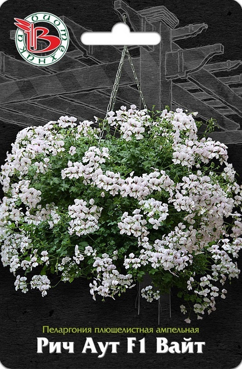 Пеларгония плющелистная ампельная Рич Аут F1 Вайт, 5 шт. Биотехника