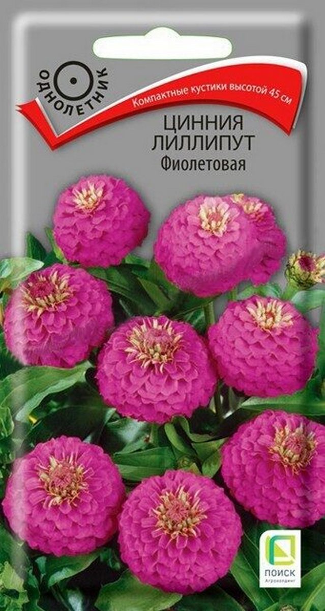 Цинния Лиллипут Фиолетовая, 0,4 г