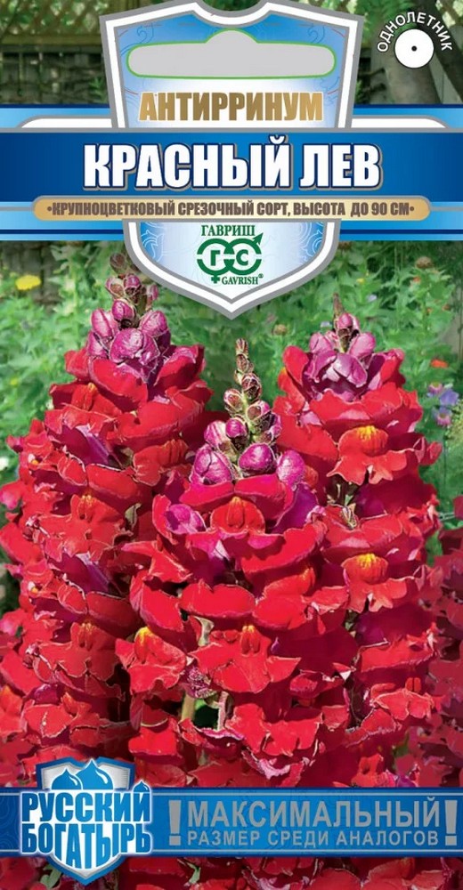 Львиный зев Красный лев, 0,1 г. Русский богатырь.