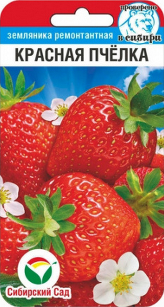 Земляника Красная пчелка, 10 шт. Сибирский сад