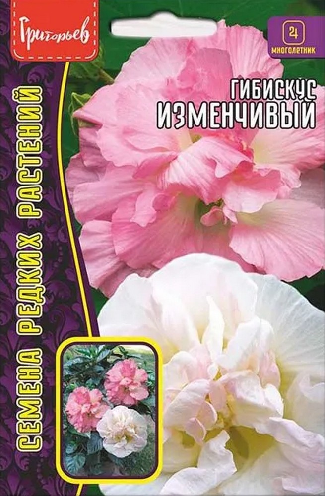 Гибискус Изменчивый, 10 шт.