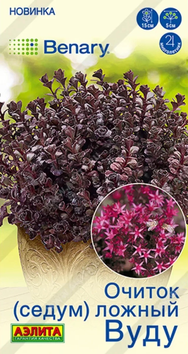 Очиток (Седум) ложный Вуду, 5 шт.