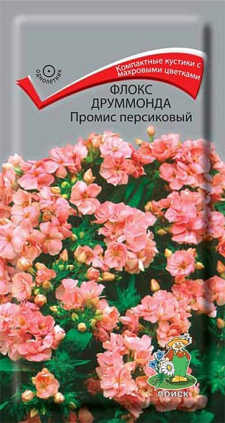 Флокс друммонда Промис персиковый, 10 шт.