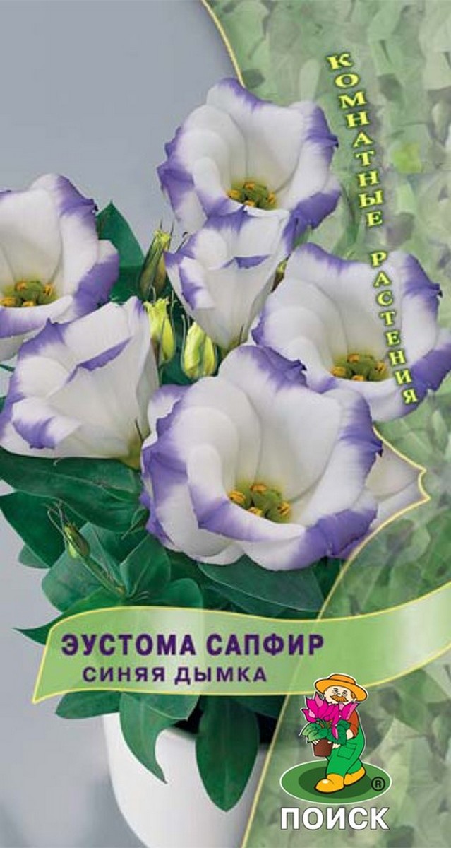 Эустома Сапфир Синяя дымка, 5 шт.