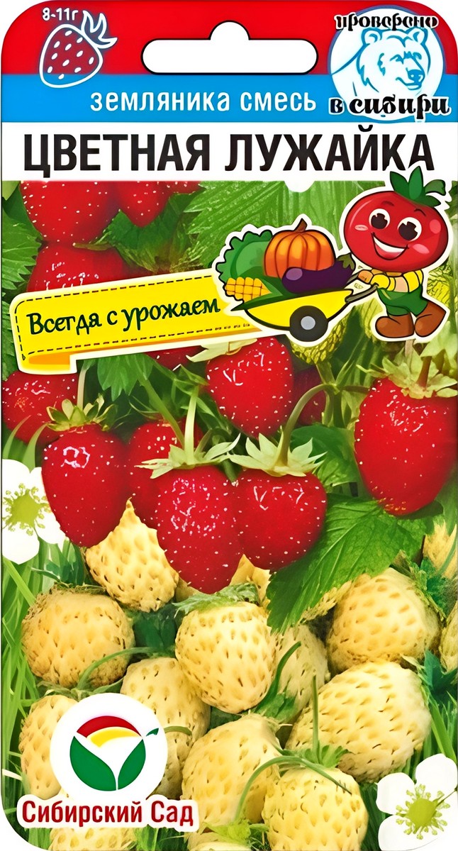 Земляника Цветная лужайка, смесь, 10 шт. Всегда с урожаем