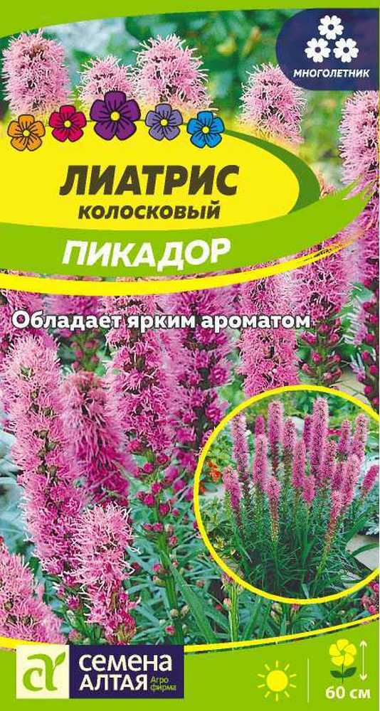 Лиатрис Пикадор, многолетник, 0,1 г