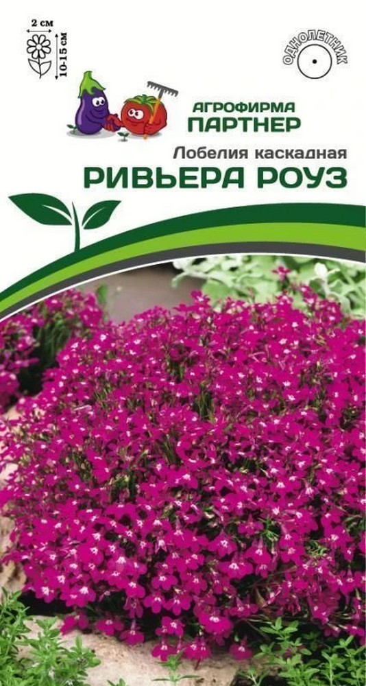 Лобелия каскадная Ривьера Роуз, 10 шт.