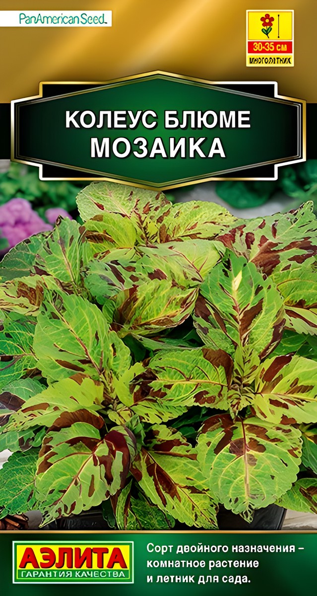 Колеус блюме Мозаика, 5 шт.