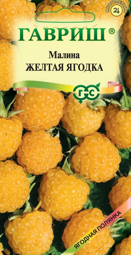 Малина Желтая ягодка, 10 шт.