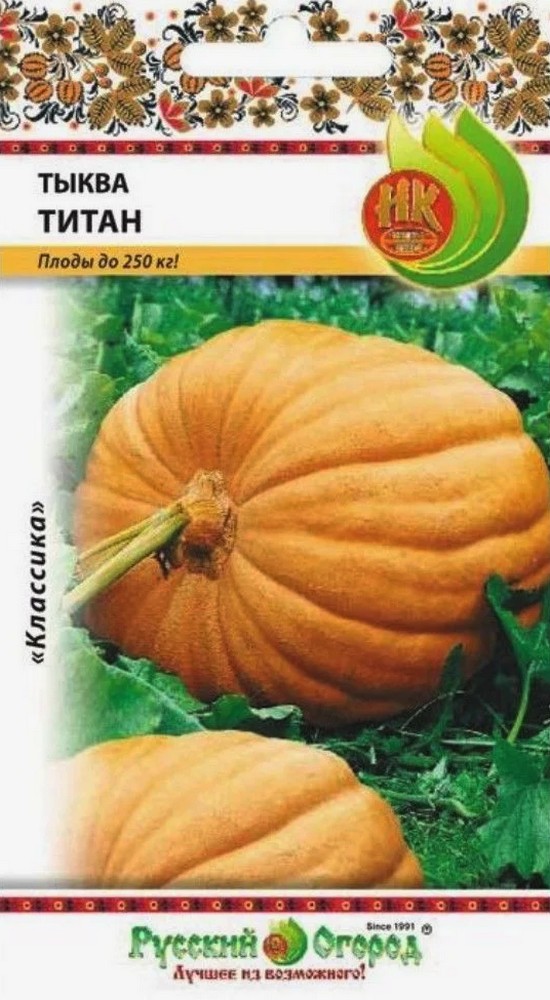 Тыква Титан, 3 шт. . Русский огород