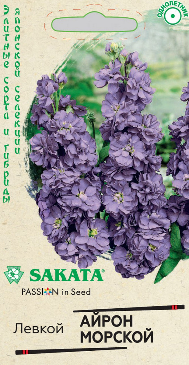 Левкой Айрон морской, 5 шт. Саката.