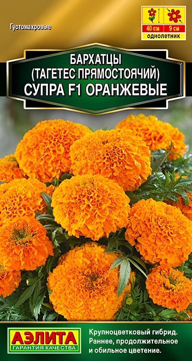 Бархатцы Супра оранжевые F1 прямостоячие, 7 шт.