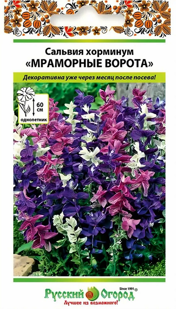 Сальвия хорминум Мраморные ворота, смесь, 30 шт. Русский огород