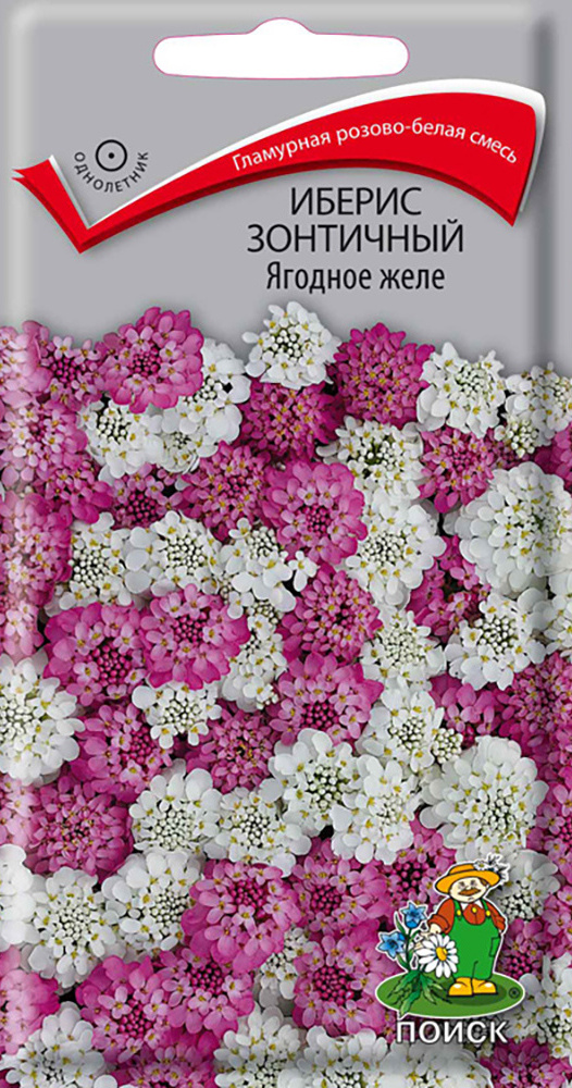 Иберис зонтичный Ягодное желе, 0,1 г