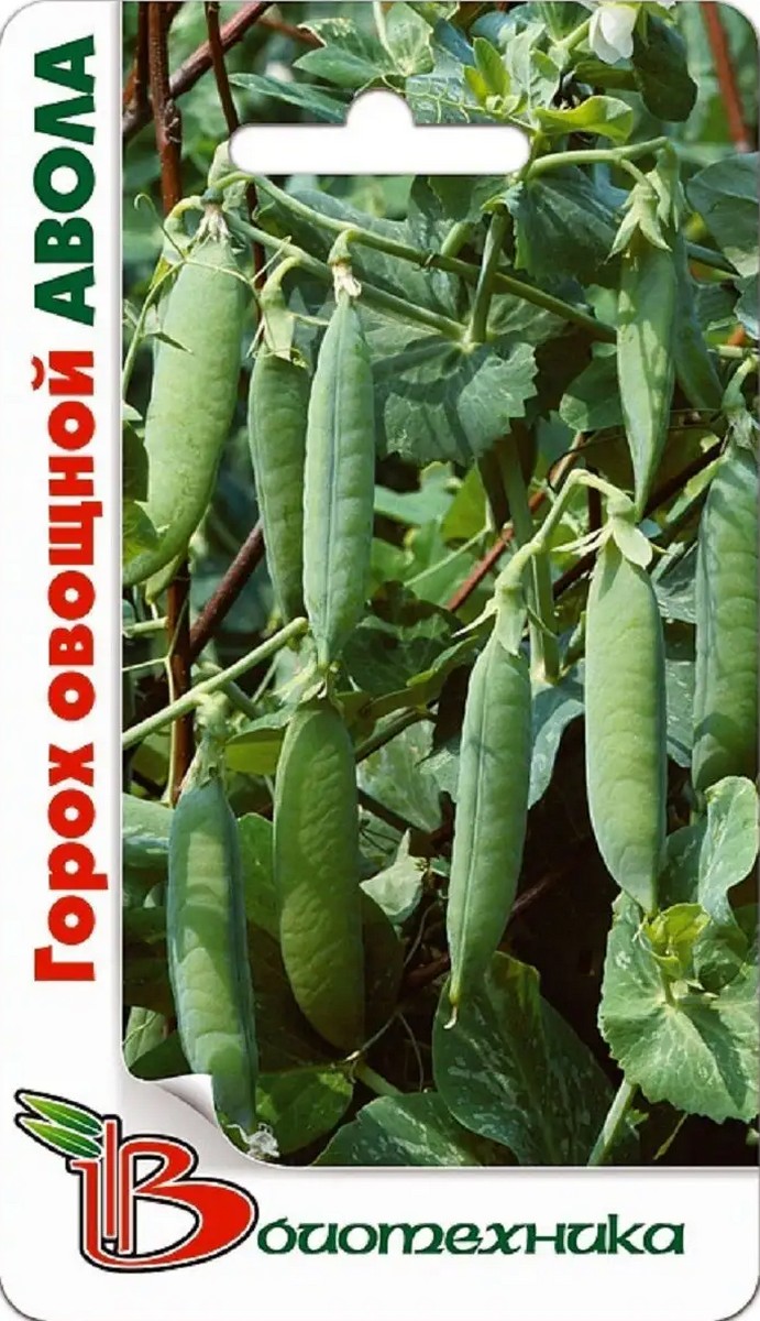 Горох овощной Авола, 8 г. Биотехника.