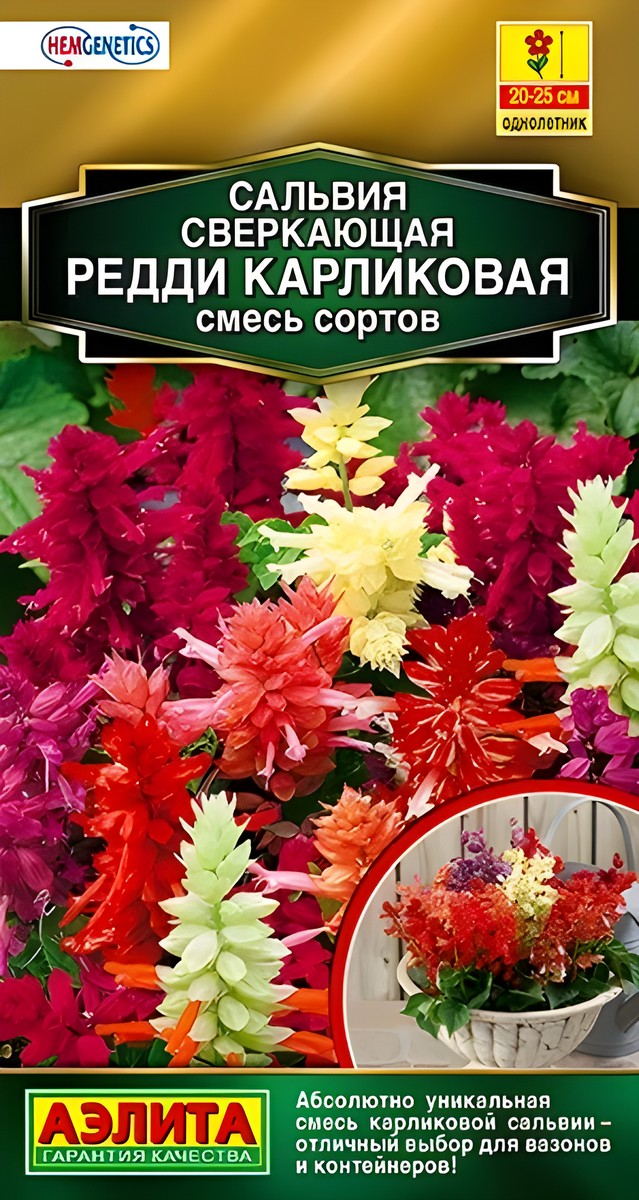 Сальвия Редди, ярко-алая, карликовая, 7 шт.