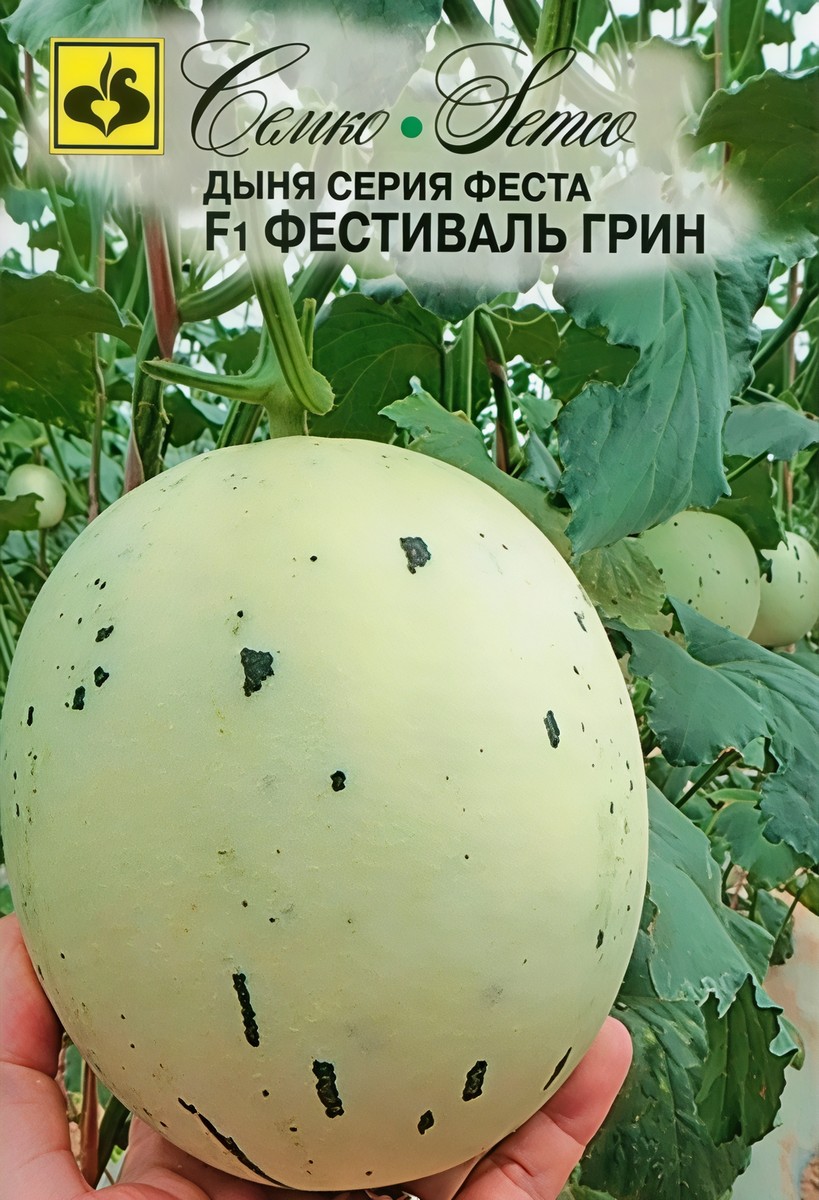 Дыня Фестиваль Грин F1, 5 шт.