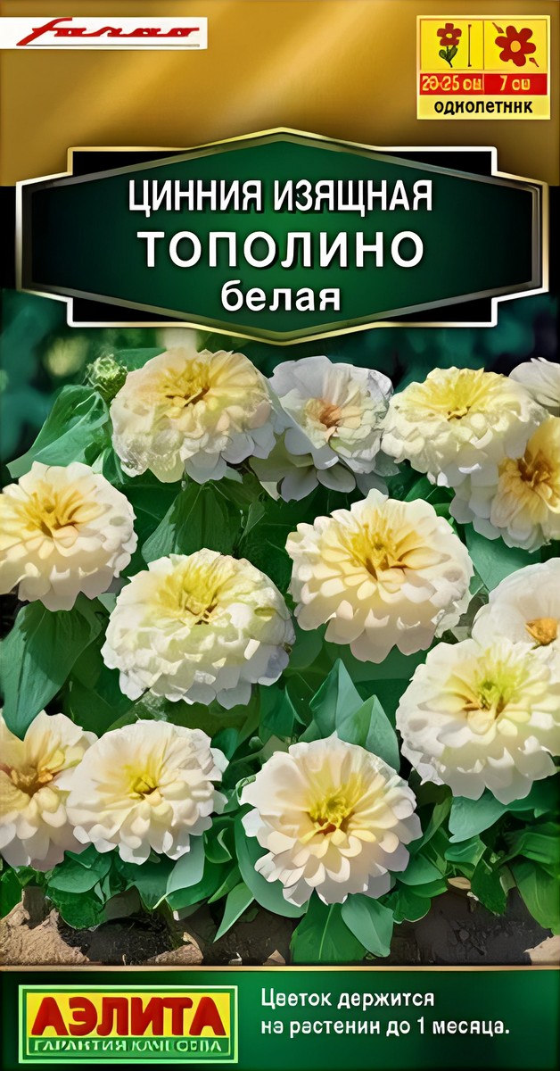 Цинния Тополино белая, 12 шт.