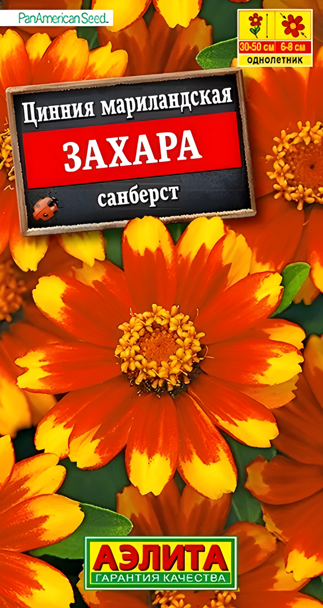 Цинния Захара санберст, 5 шт.