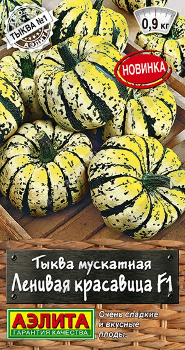 Тыква мускатная Ленивая красавица F1, 5 шт.