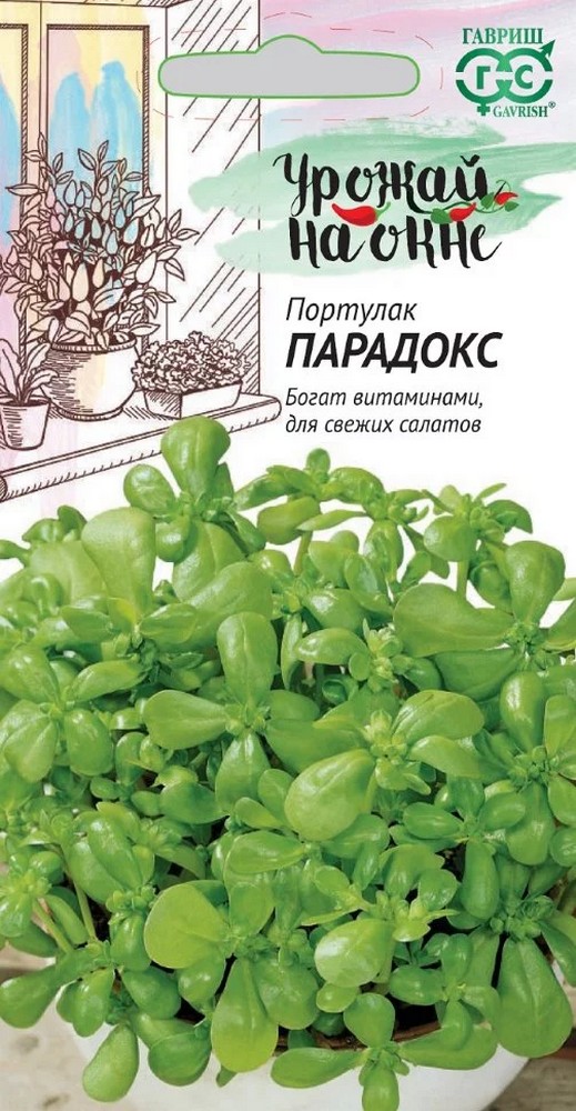 Портулак Парадокс, 0,1 г. Урожай на окне. 