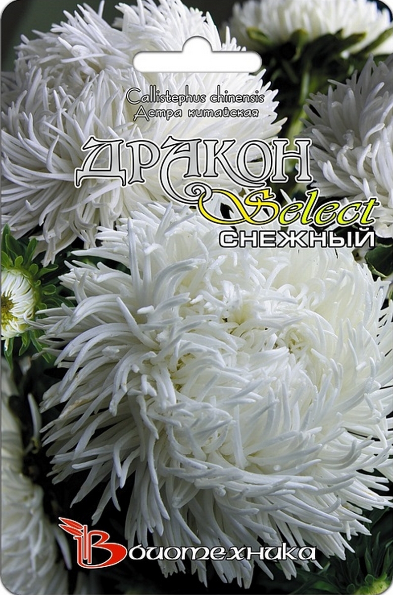 Астра китайская Дракон селект Снежный, 100 шт. Биотехника