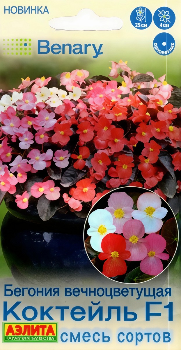 Бегония вечноцветущая Коктейль F1, смесь сортов, 7 шт.