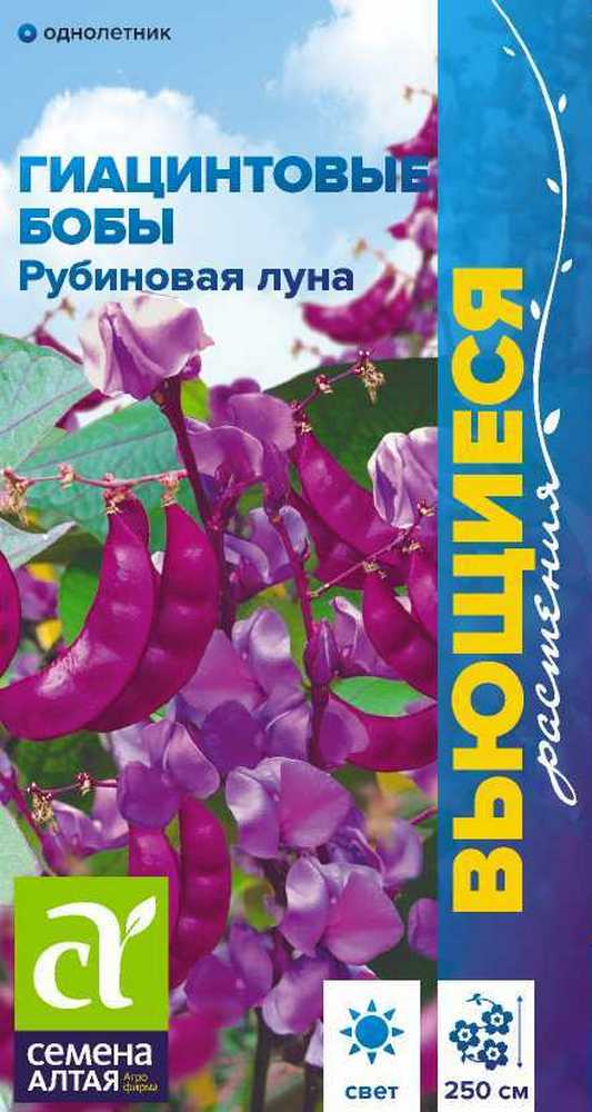Гиацинтовые бобы Рубиновая Луна, 1 г. Вьющиеся растения. 