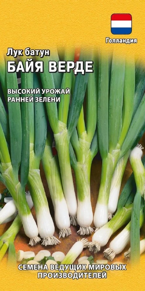 Лук батун Байя Верде, 0.2 г. Голландия.
