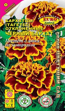 Бархатцы Черный бархат, 0,1 г