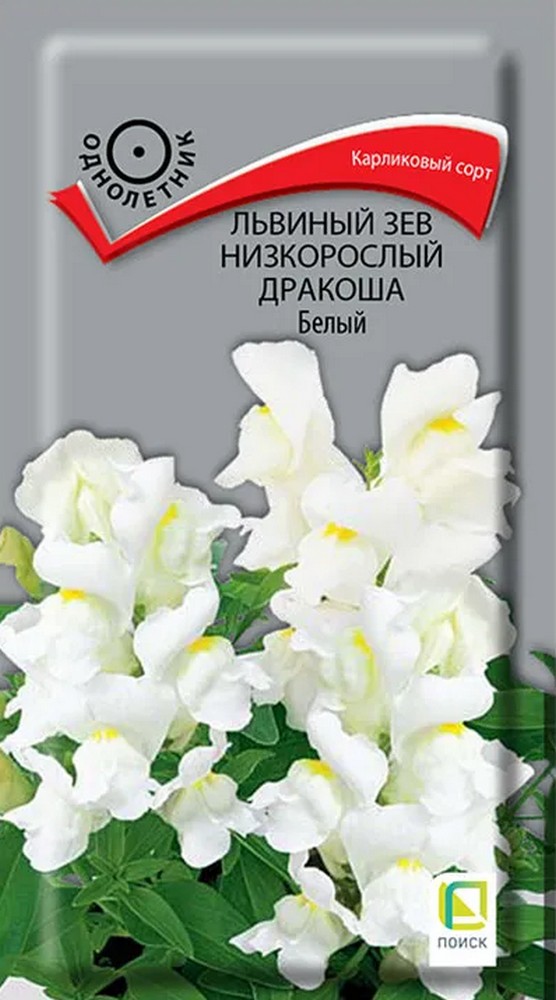 Львиный зев низкорослый Дракоша Белый, 0,02 г