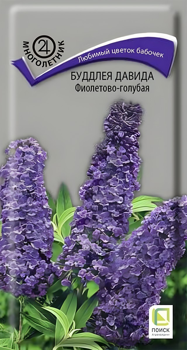 Буддлея Давида Фиолетово-голубая, 0,01 г