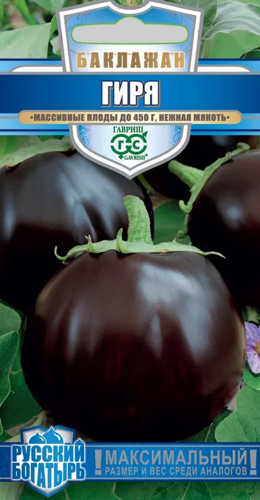 Баклажан Гиря, 0,1 г. Русский богатырь.