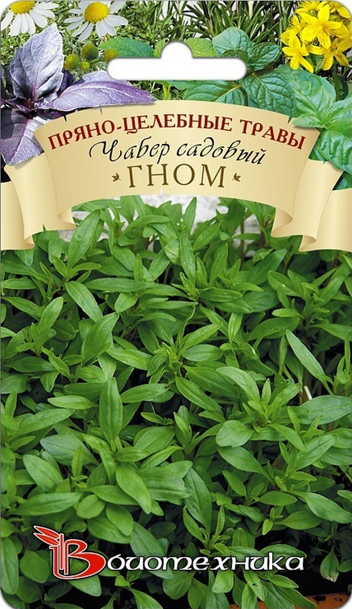 Чабер садовый Гном, 0,5 г. Биотехника.