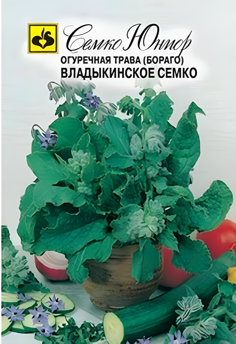 Бораго Владыкинская, 1 г