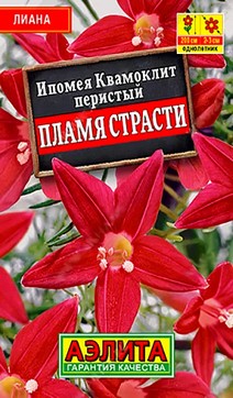 Ипомея Пламя страсти, 0,5 г