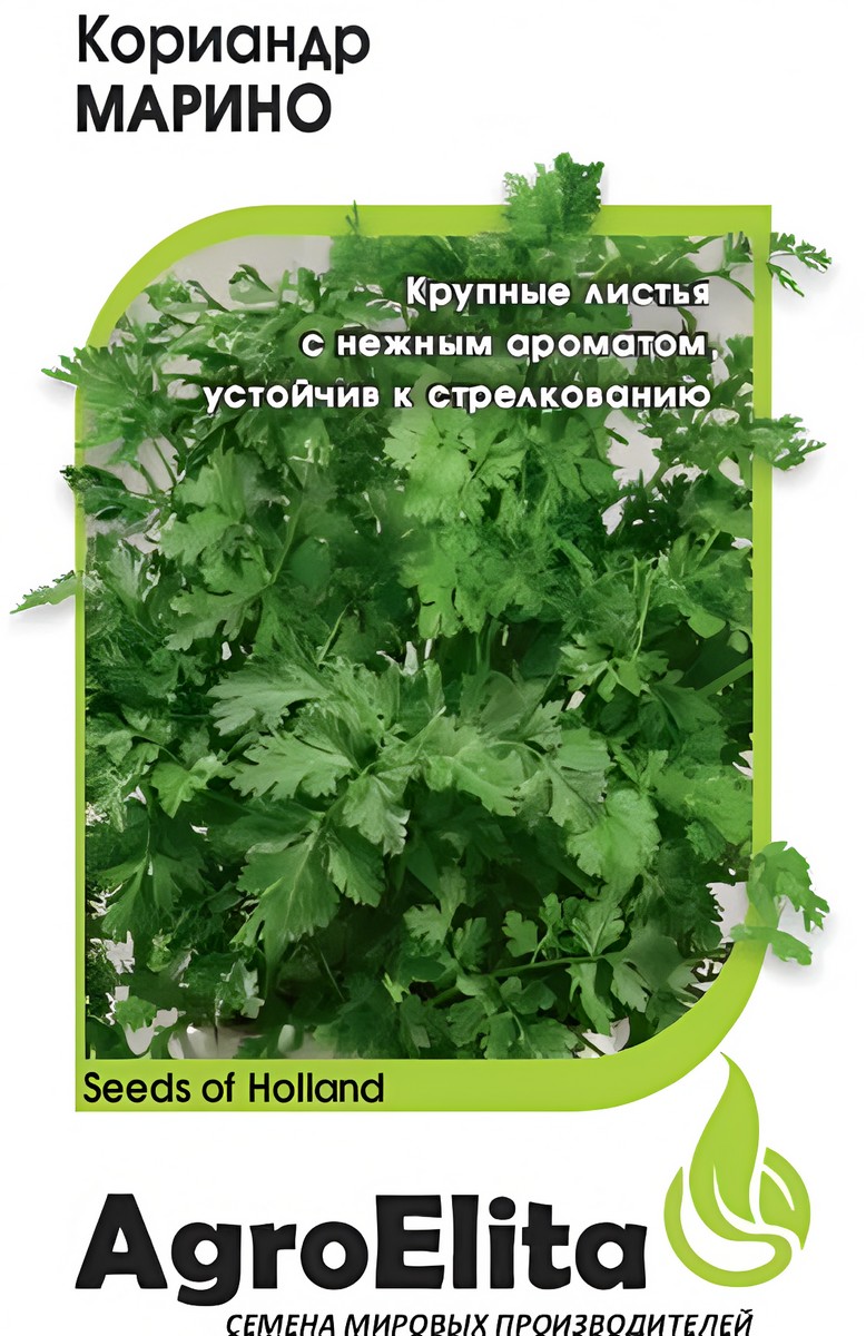 Кориандр Марино 1,0 г. Голландия.