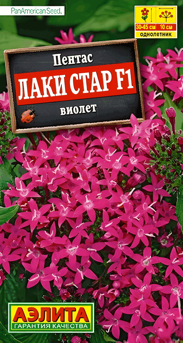 Пентас Лаки стар F1 виолет, 3 шт.