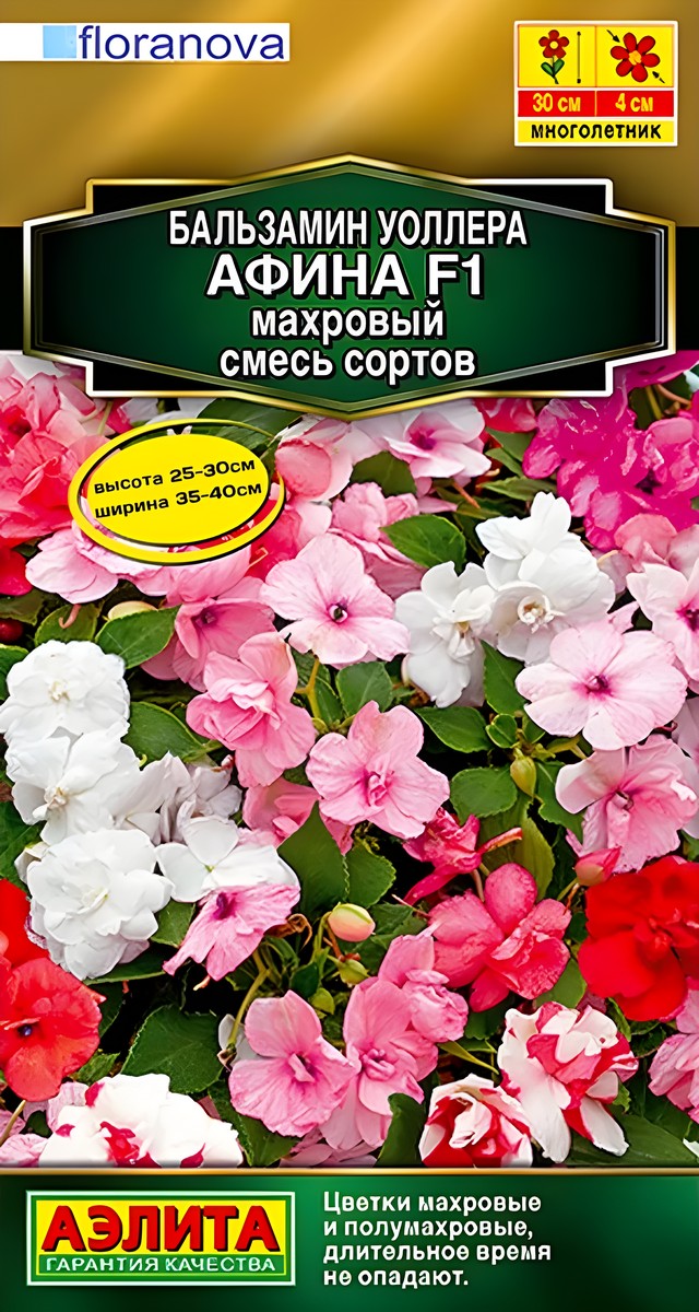 Бальзамин Афина F1 махровый, смесь сортов, 5 шт. 