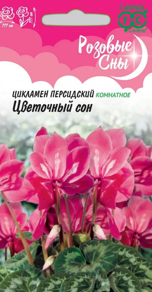 Цикламен Цветочный сон, 3 шт. Розовые сны.