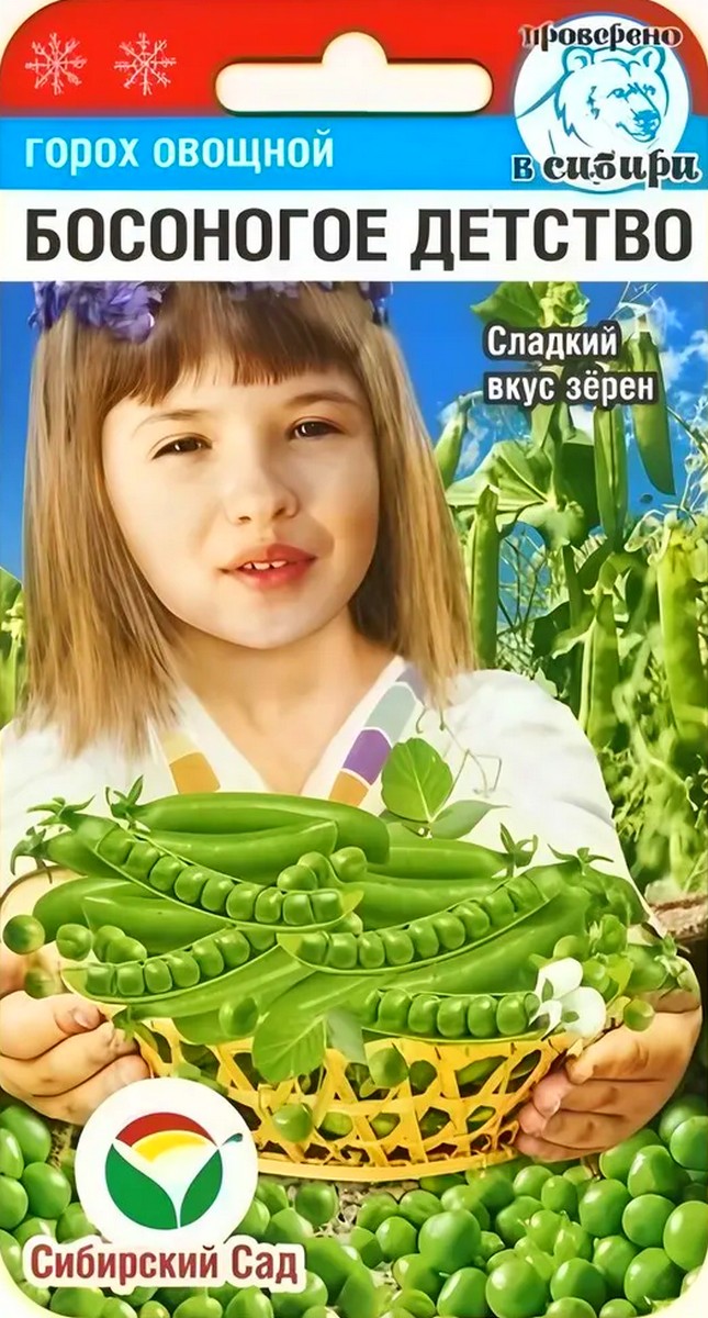 Горох Босоногое детство, 5 г. Сибирский сад.