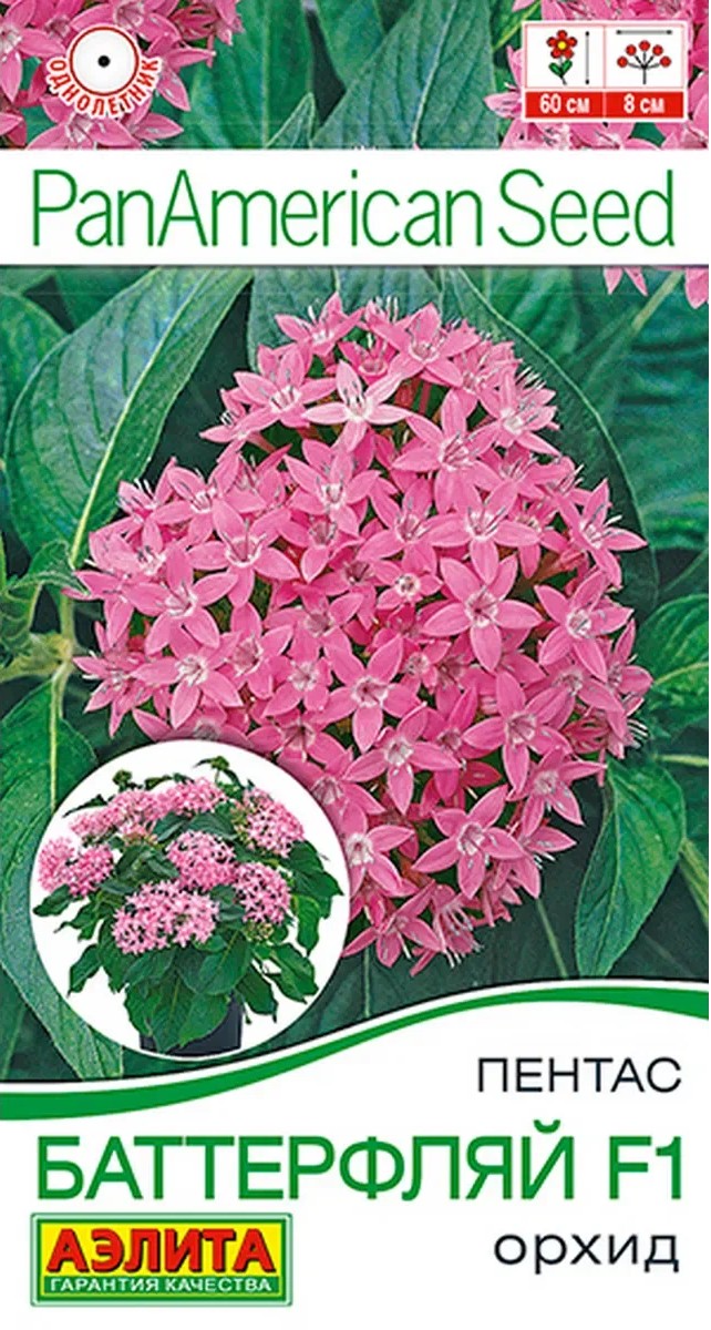Пентас Баттерфляй F1 орхид, 3 шт.