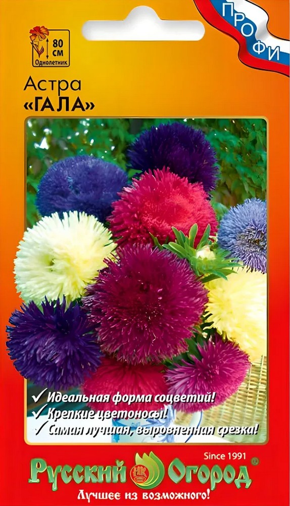 Астра Гала, смесь, 20 шт. Русский огород
