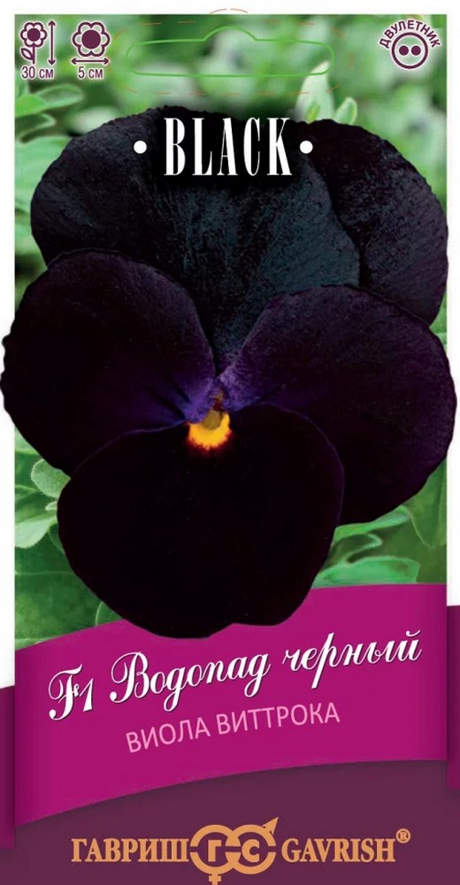 Семена Виола Водопад черный F1, ампельная Виттрока Анютины глазки), 5 шт. Black.