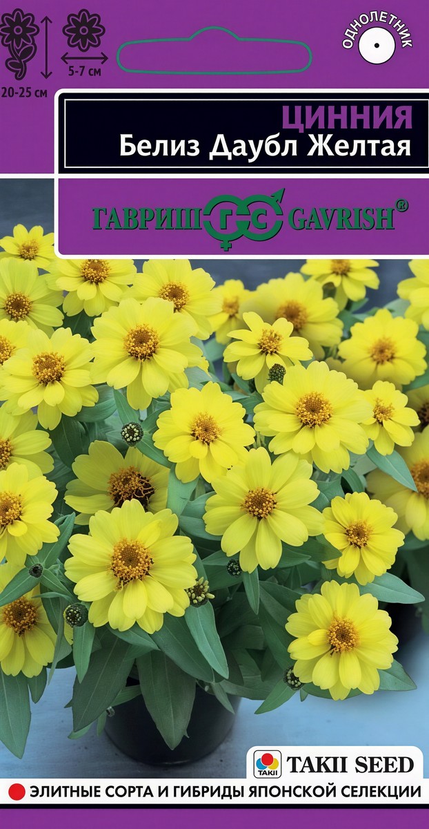 Цинния Белиз Даубл желтая, 5 шт. Эксклюзив